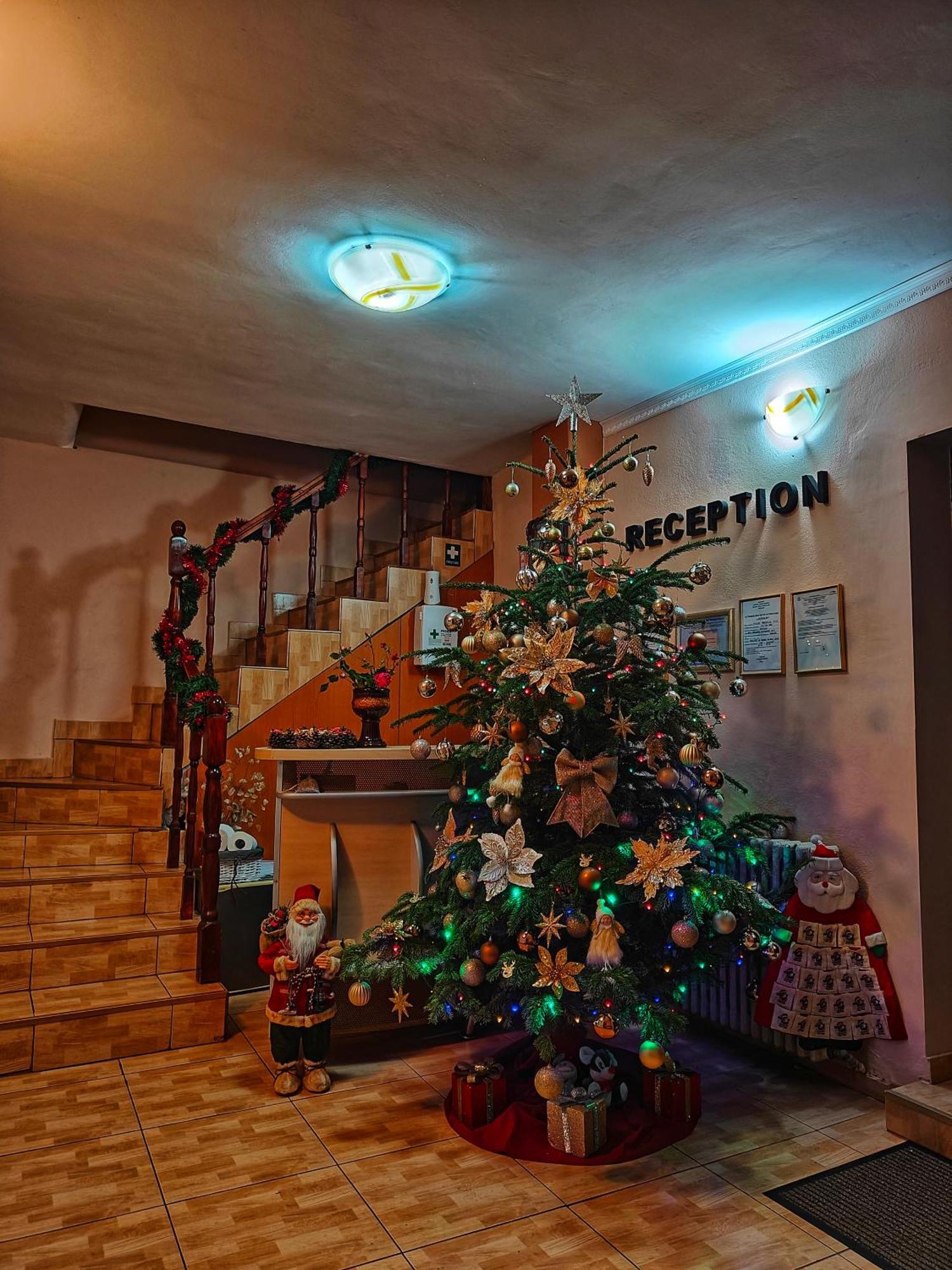 Casa Miclau Băile Herculane Exterior foto