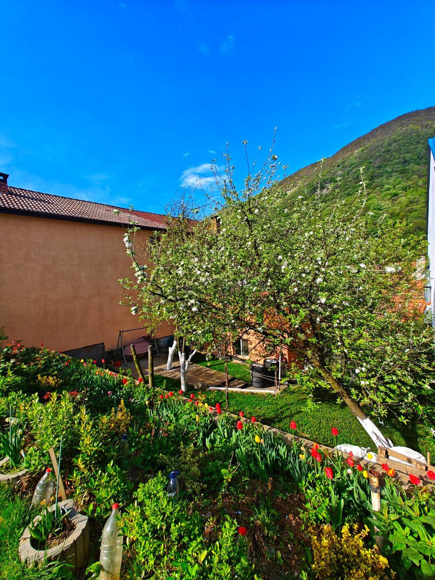 Casa Miclau Băile Herculane Exterior foto