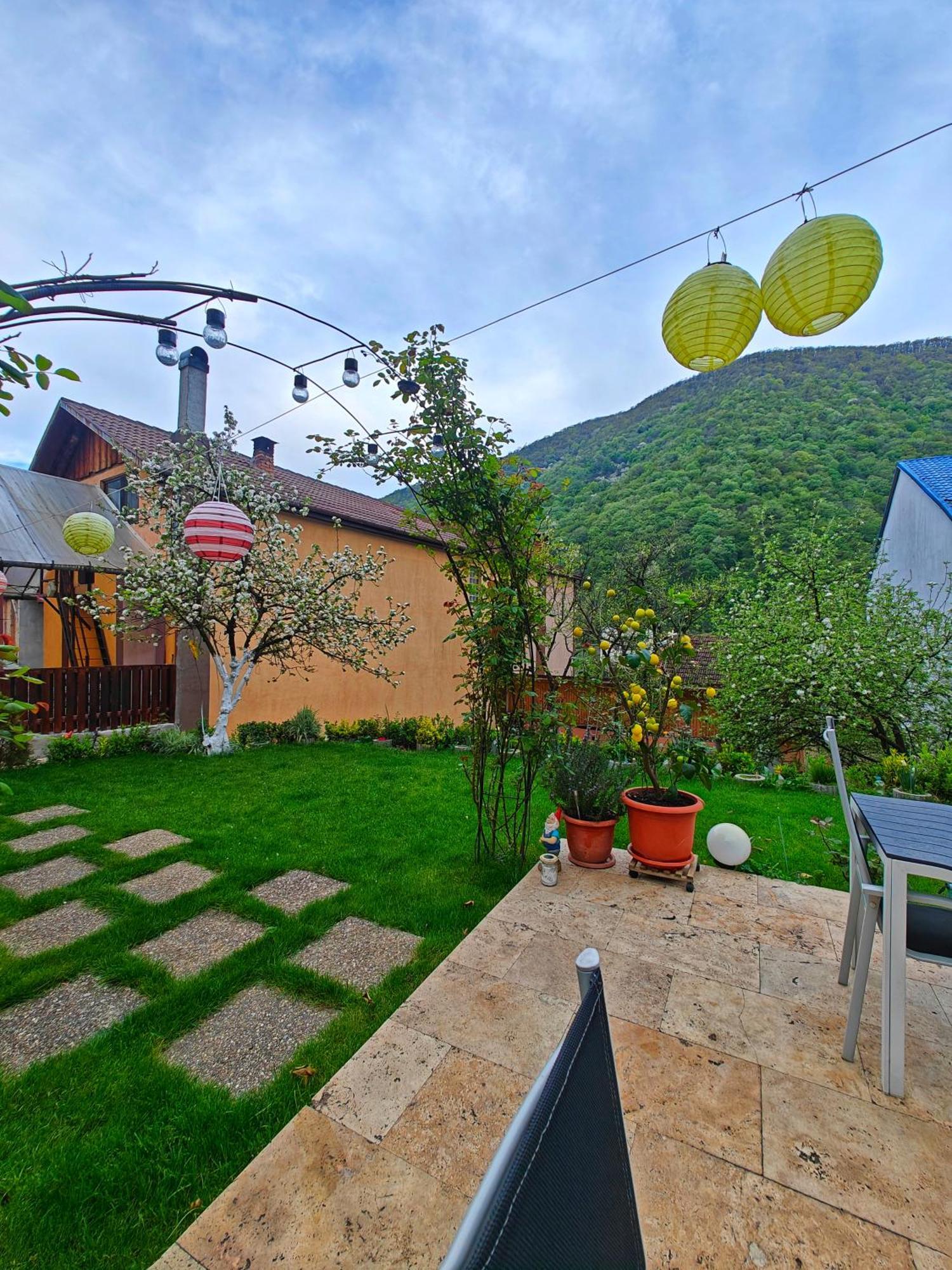 Casa Miclau Băile Herculane Exterior foto