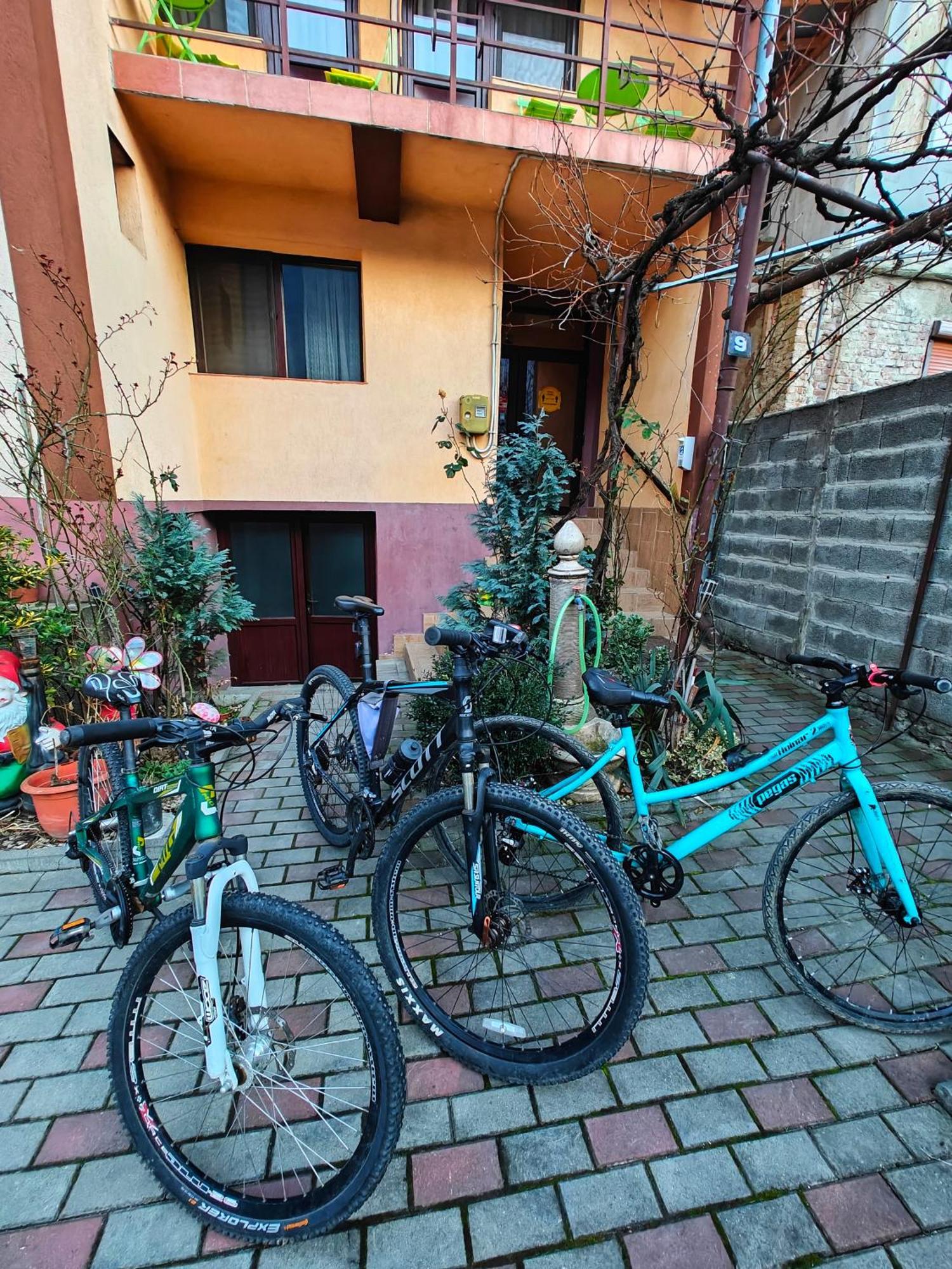 Casa Miclau Băile Herculane Exterior foto